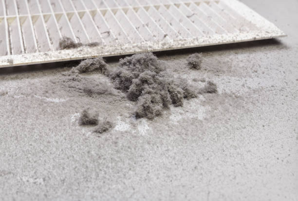 Best Residential Air Duct Cleaning  in Crane, MO