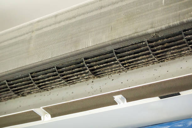 Best Duct Cleaning for Offices  in Crane, MO