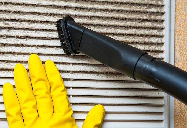 Best Affordable Air Duct Cleaning  in Crane, MO